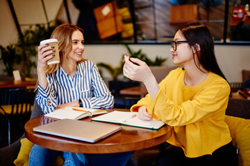 Female friends talking in cafe near netbook