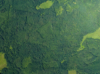 Aerial view of the forest, Krasnodar region