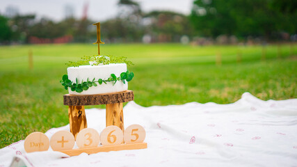 A cake for 1 year celebration