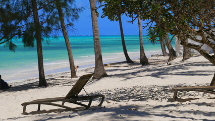 Sandstrand auf Sansibar mit smaragdgrünem Wasser und Palmen