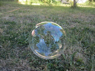 bubbles in the grass