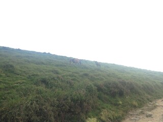 Fototapeta premium hiking in the mountain