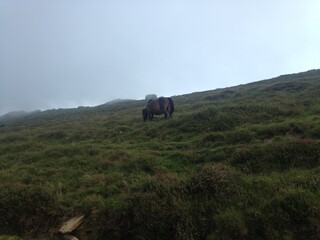 hiking in the mountains