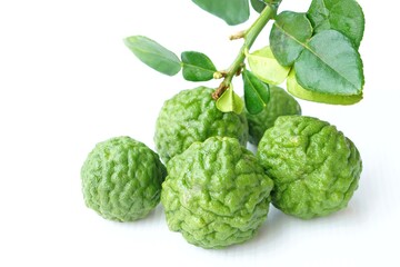 Green organic bergamot fruits on white table outdoor. Thai herbal bergamot fruit is a herbal treatment to relieve various symptom, used to shampoo, nourish hair, eliminate dandruff, cure itchy head