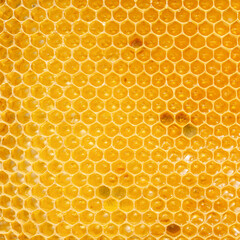 Background texture of honeycombs with fresh raw honey.