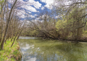 Fototapeta na wymiar Partly cloudy early Spring afternoon by a quiet stream bordered by far-leaning branches and trees