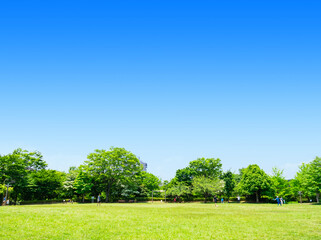 青空と緑の公園
