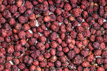 background - dried magnolia berries