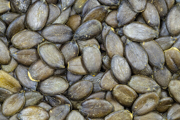 background - many styrian pumpkin hulless seeds