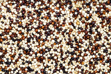 background - blend of quinoa grains