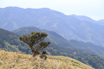 伊豆山稜歩道の風景。伊豆の山々の尾根道を歩くコース。伊豆の高原、山々を眺めを楽しみながらのウオーキング。　　仁科峠見晴台からの眺望
