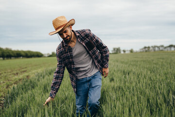 Naklejka na ściany i meble rancher walking through wheat field