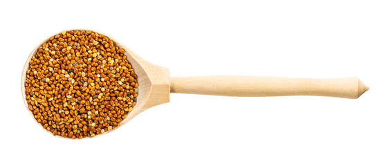 top view of wood spoon with proso millet grains