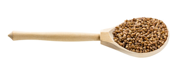 spoon with roasted buckwheat grains isolated