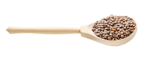 wooden spoon with unhulled red lentils isolated
