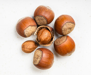 several shelled and whole hazelnuts on gray