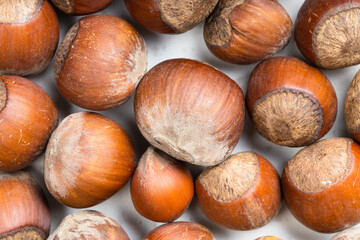 background - many ripe whole hazelnuts