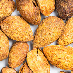 cracked almond drupes close up