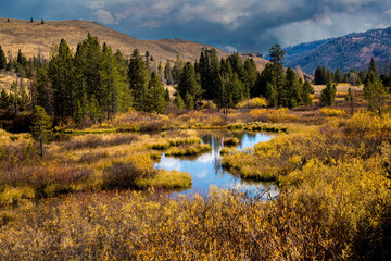 Wetland along highway 21 wwest of Stanley, Idaho.  Low growing plants are exhibiting fall color.