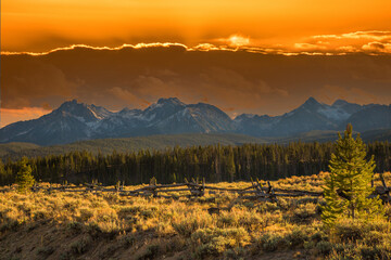 A split rail fence and a sage brush meadow with the Sawtooth mountains in the background, in the...