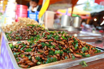 Insekten thailändischer Markt 