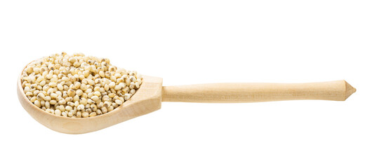 raw polished Sorghum groats in wooden spoon