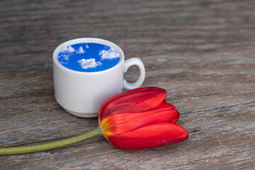 Fototapeta na wymiar Abstraction. Morning drink from a clear sky with white clouds and a red tulip - a symbol of love.