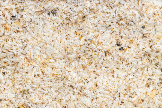 background - raw psyllium husk close up