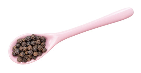 hainan black pepper in ceramic spoon isolated