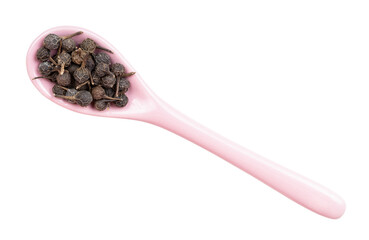 tailed pepper (cubeb) in ceramic spoon isolated