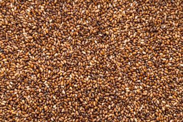 background - whole-grain teff seeds