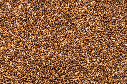 background - whole-grain teff seeds