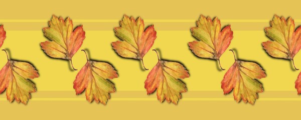 Seamless pattern, border, Orange autumn leaves on yellow striped background