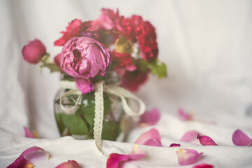 still life of a rose
