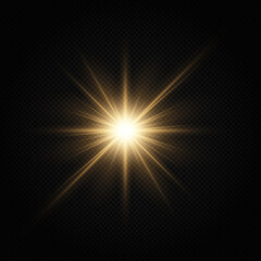 Fototapeta na wymiar Shining golden stars. Light Effect Bright Star, Christmas Star.
