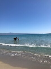 walking on the beach