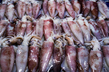 Fresh squid sell background in traditional seafood market, Food object