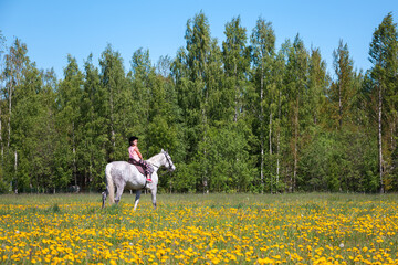 Fototapeta premium Little girl rides a white horse over blooming meadow