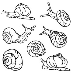 Vector illustration of black and white snails. Design for coloring book.