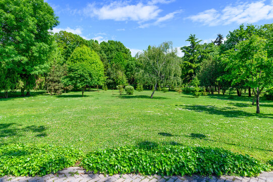backyard and garden with spring trees and grass on lawn