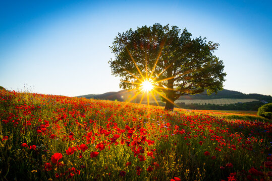 Sonnenuntergang