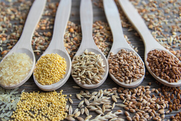 Composition of wooden spoons on which grains and cereals are located. Wheat, rice, buckwheat, millet, oats.