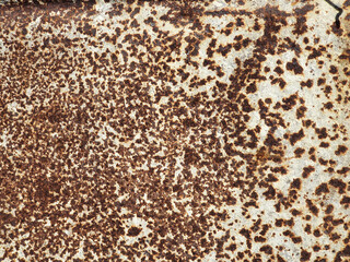 Rusty metal background. White painted metal texture with rust. Rust stains a lot.