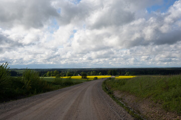 Sandy rocky country road where there is green grass along the edges and yellow rape blooms, the sky is blue and there are fluffy clouds