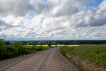 Sandy rocky country road where there is green grass along the edges and yellow rape blooms, the sky is blue and there are fluffy clouds