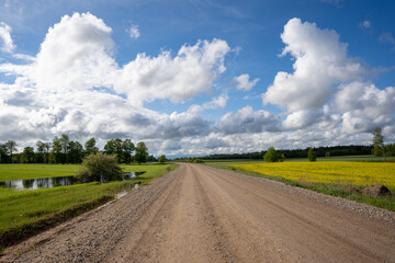 Fototapeta na wymiar Sandy rocky country road where there is green grass along the edges and yellow rape blooms, the sky is blue and there are fluffy clouds