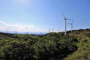 Fototapeta na wymiar 青山高原の風車群