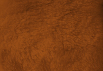 Brown fur background close up view.