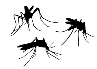 Mosquitoes in the set. Insect pest. Vector image.