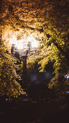 Street lamp at night